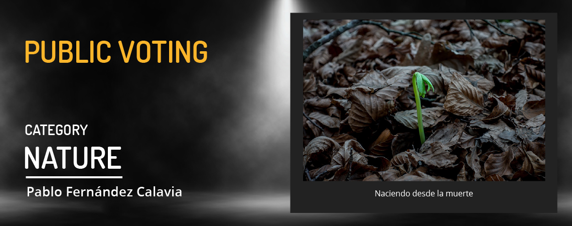 popular-naturaleza-en