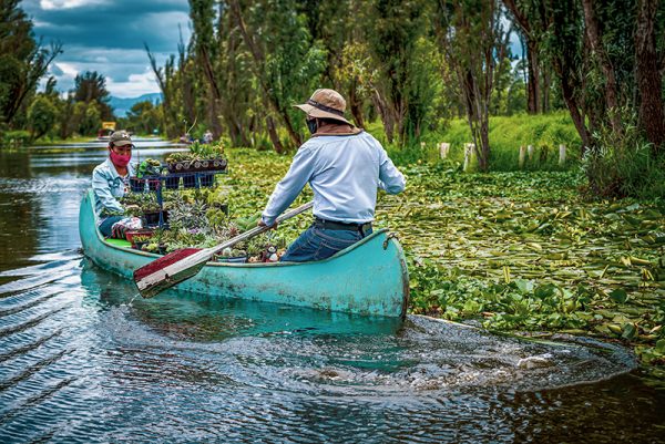 Canoeists selling plants in Xochimilco´s lake