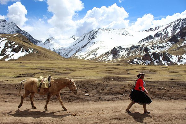 LOS GUARDIANES DEL CAMINO