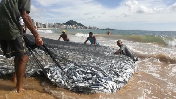 A Puxada de Rede