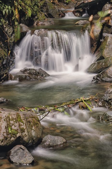 La fuerza serena del agua