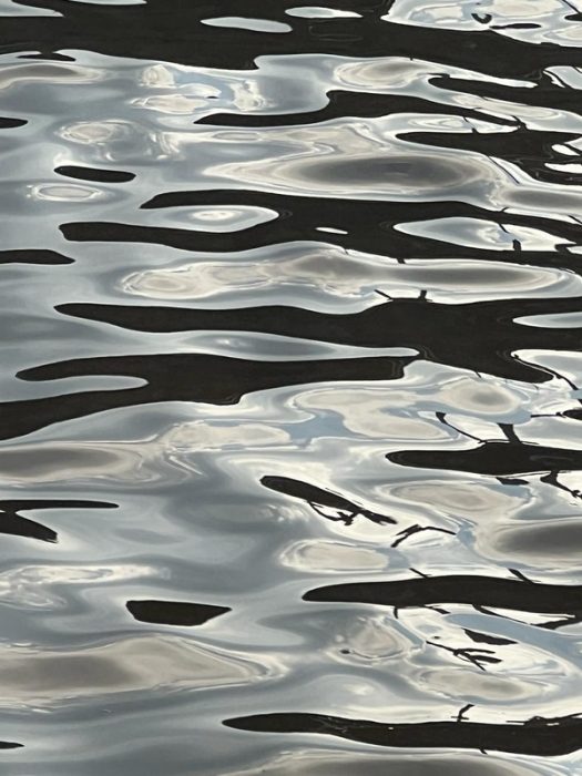 Peces del Río Paraná