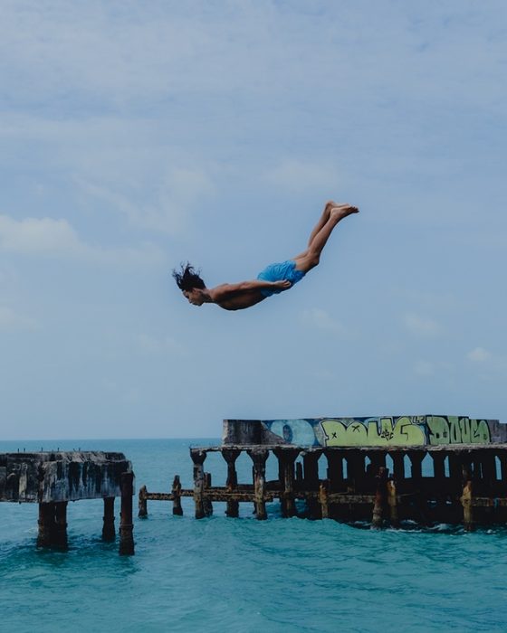 O salto do martim-pescador